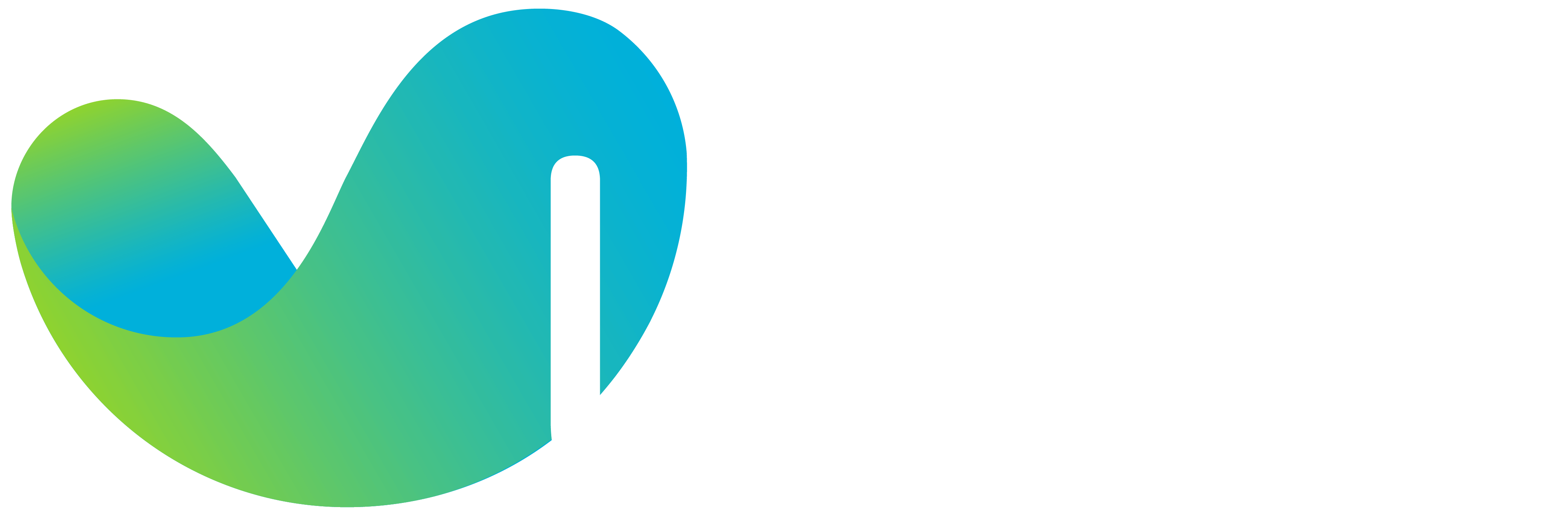 Laixo Logo